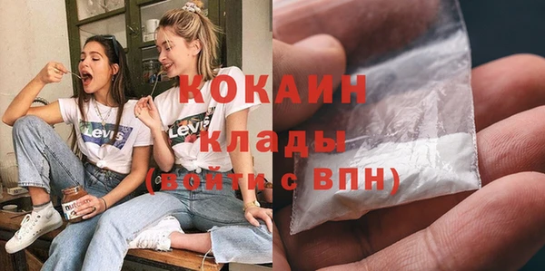 гидра Слюдянка